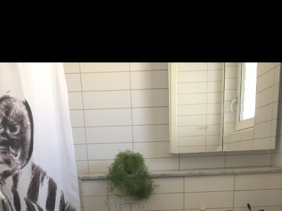 Övrig - 