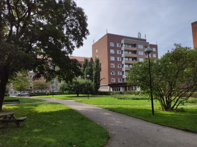 Övrig - 